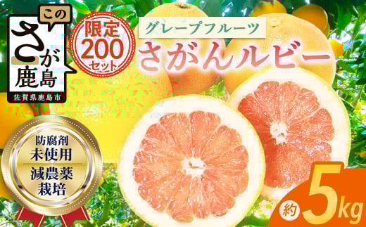 数量限定 リピーター続出 グレープフルーツ「さがんルビー」 約5kg 防腐剤不使用 希少 デザート スイーツ 柑橘 果物 くだもの 果実 国産 グレープフルーツ ふるさと納税 佐賀県 鹿島市 B-2佐
