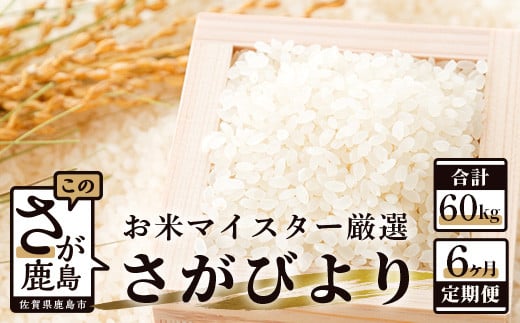 11月発送開始 新米【定期便 6ヶ月】 佐賀県産 さがびより 白米 10kg《6ヶ月連続 毎月お届け》 6回 J-3 令和7年産佐賀県鹿島市200000米・パン白米