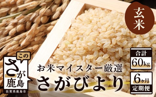 11月発送開始 新米【定期便 6ヶ月】 佐賀県産 さがびより 玄米 10kg《6ヶ月連続 毎月お届け》 6回 J-4 令和7年産佐賀県鹿島市200000米・パン玄米・雑穀米・もち米・餅