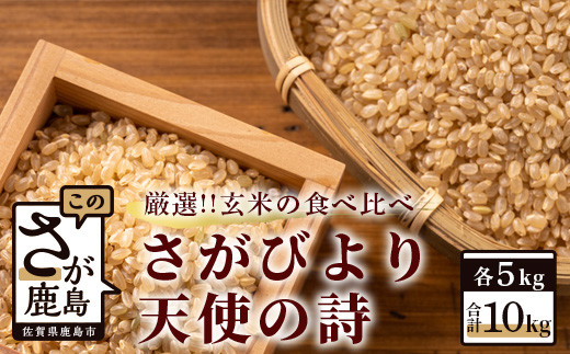 C-15 佐賀県産さがびより・天使の詩 玄米10kg(5kg×2種)佐賀県鹿島市20000米・パン白米