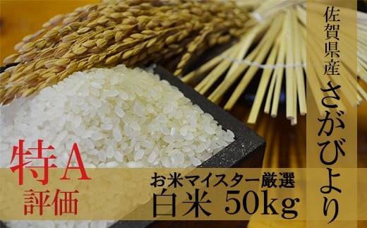 H-3【1等米限定 令和5年産】鹿島市産厳選さがびより 白米50kg佐賀県鹿島市88000米・パン白米