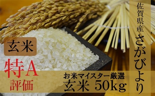 H-4【1等米限定 令和5年産】鹿島市産厳選さがびより 玄米50kg佐賀県鹿島市88000米・パン玄米・雑穀米・もち米・餅