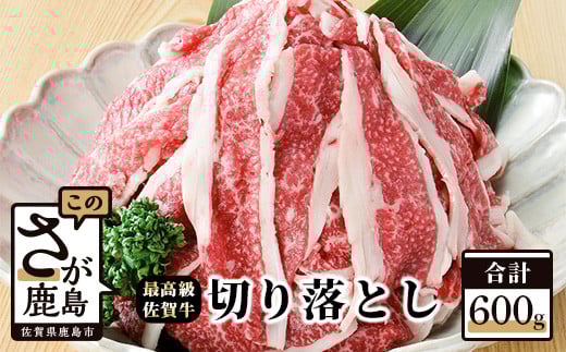 B-105 最高級ブランド 佐賀牛 【切落し 600g】 佐賀 牛肉 牛 肉 佐賀産 佐賀県 鹿島市 冷凍 高級肉 切り落とし オススメ イチオシ 美味しい佐賀県鹿島市10000肉牛肉