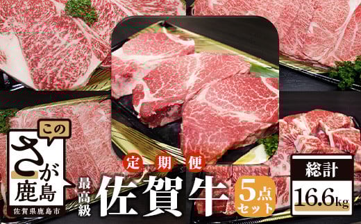 y1X^[gzW-4 ꋍs5_ZbgyS4ւ͂zv16.6kgꌧs800000