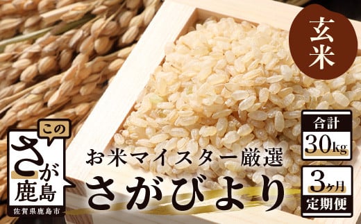 11月発送開始 新米【定期便 3ヶ月】 佐賀県産 さがびより 玄米 10kg《3ヶ月連続 毎月お届け》 3回 F-16 令和7年産佐賀県鹿島市100000米・パン玄米・雑穀米・もち米・餅