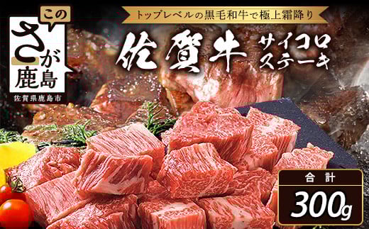 \ty1zB-303ꋍ yTCRXe[L v300gza a Ya    [X o  ꌧ s Ⓚꌧs10000