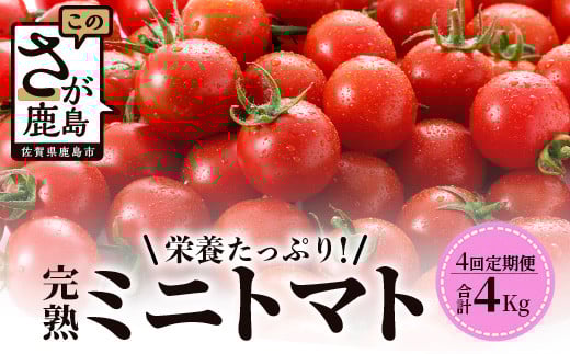 ys\zy2026N1oׁz n~jg}gwRicotomatox y1kg×4ցz  F-32ꌧs40000؁Êg}g