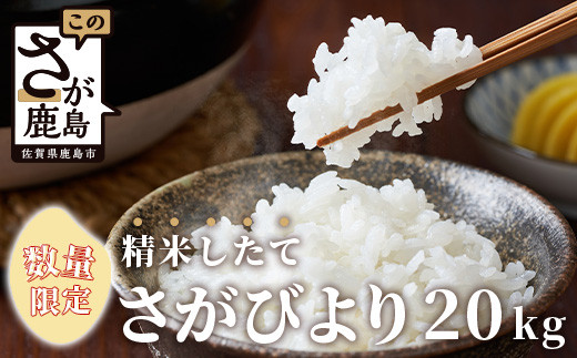 D-105【数量限定】令和5年産 佐賀県鹿島市産 さがびより 白米20kg お米マイスターセレクト!佐賀県鹿島市30000米・パン白米