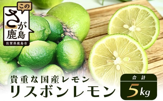 B-367 リスボンレモン【約5kg】メディアも注目の柑橘類の名人直送!レモン れもん 檸檬 果物 生搾り 料理 菓子 サワー お酒 国産 佐賀県鹿島市産 人気佐賀県鹿島市10000果物・フルーツみかん