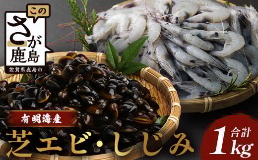 AA-19 冷凍 芝エビ (500g) シジミ (500g) セット 【合計1kg】 真エビ 急速冷凍 活き締め 芝海老 えび 海老 しじみ 砂抜き済 魚貝類 海鮮 貝 佐賀県 鹿島市 国産 詰め合わせ佐賀県鹿島市8000魚介・海