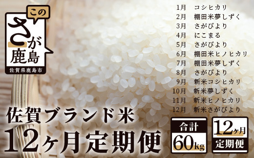 L-31y12ցzuhĒցi5kg×12jꌧs140000āEp