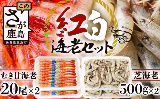 B-421《受付再開》冷凍えびセット(芝えび1kg・むき甘えび20尾×2)佐賀県鹿島市17000魚介・海産物エビ