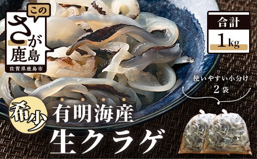 AA-32【有明海産】希少!新物!生クラゲ1kg(ビゼンクラゲ)佐賀県鹿島市10000魚介・海産物貝類