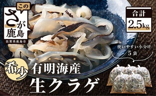 B-433【有明海産】希少!新物!生クラゲ2.5kg(ビゼンクラゲ)佐賀県鹿島市16000魚介・海産物貝類