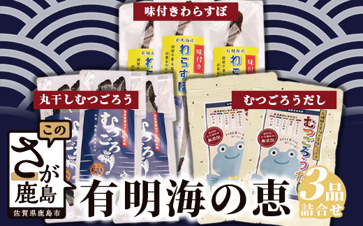 B-450 有明海の恵(丸干しむつごろう・味付きわらすぼ・むつごろう出汁セット)佐賀県鹿島市11000魚介・海産物その他 魚介・海産物