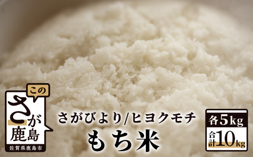 B-463 佐賀県産さがびより・ヒヨクモチ(もち米)白米10kg(5kg×2種)佐賀県鹿島市17000米・パン白米