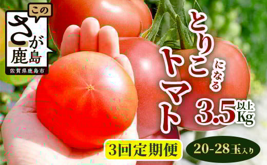 ys\z ɂt@[ Ƃ肱ɂȂg}gy3.5kgȏ×3ցzy2025N12oׁz Ricotomato g}g [ ؒ   g}g VN T_  Ƃ܂ 
