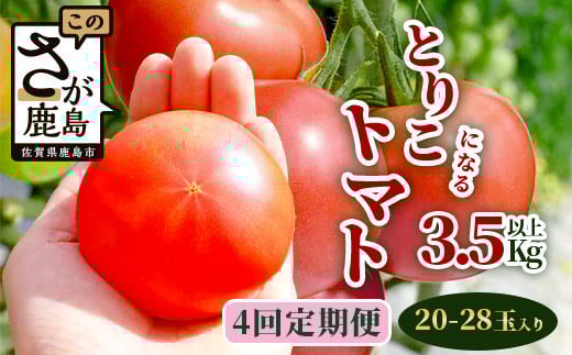 ys\z ɂt@[ Ƃ肱ɂȂg}g y3.5kgȏ×4ցzy2025N12oׁzRicotomato Ƃ肱ɂȂ g}g [ ؒ   g}g VN T_  