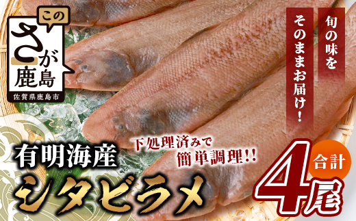 yςŊȒPzLCY V^r150g×4yv600gzςEgɂXXŷĔzNxQ B-568ꌧs14000ECYN