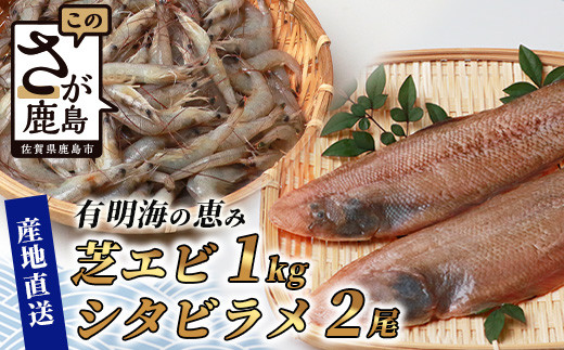 ⓀŃGri^Grj1kgy500g×2pbNzLCY V^ry150g×2z ȒP ZbgyLČbz B-569ꌧs13000ECYN
