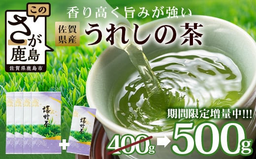 Ԍ葝ʁyMtgɂ߁z ꌧY ꂵ̒ (Ԃ) 100g×5{yv500gz𑡂蕨 B-570ꌧs10000E