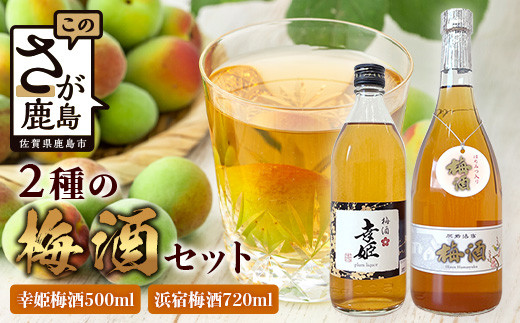 2種の梅酒セット 【幸姫酒造梅酒&浜宿梅酒】B-577佐賀県鹿島市12000酒・アルコールウイスキー・洋酒・リキュール