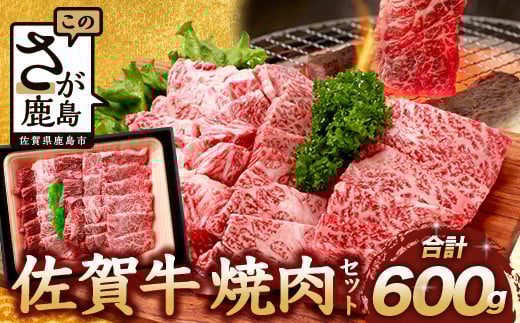 【11月配送】佐賀牛 焼肉セット 600g BBQ バーベキュー 焼き肉 バラ モモ D-191佐賀県鹿島市22000肉牛肉