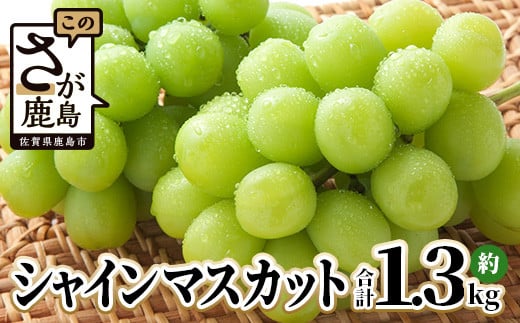 【先行予約】ご家庭用 シャインマスカット 約1.3kg 2〜3房 佐賀県産 【2025年8月上旬以降発送】 マスカット ぶどう 葡萄 果物 フルーツ 果実 季節 旬 冷蔵 期間限定 国産 ふるさと納税 佐賀県