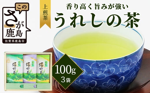【ギフトにおすすめ】 佐賀県産 上煎茶 うれしの茶 100g×3本【合計300g】美味しいお茶を贈り物に B-666佐賀県鹿島市12000お茶・飲料お茶