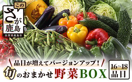 【バージョンアップ】旬のおまかせ野菜BOXセット【16〜18品目お届け】 冷蔵配送【 野菜 果物 旬 セット 詰め合わせ 】B-690佐賀県鹿島市10000野菜・きのこその他 野菜