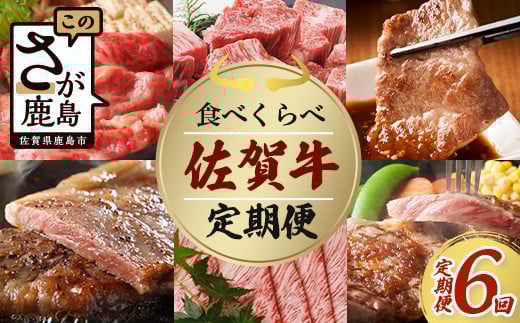 y1X^[gzy6zꋍ Hה  6 6 ē Ă ₫ Ă Ԃ TCRXe[L Xe[L L-39ꌧs100000