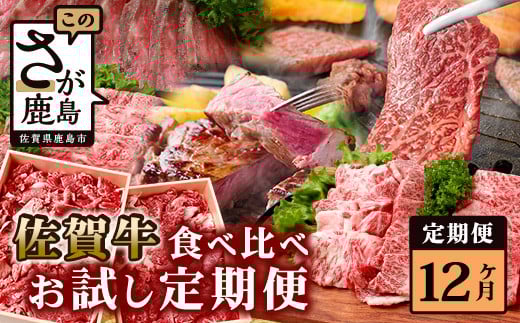 y12zꋍ Hה ցyXCX [X T[CXe[L ؂藎 [Xgr[t ē TCRXe[Lz V-46ꌧs300000