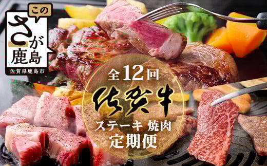 【定期便12回】佐賀牛 ステーキ・焼肉 定期便 【サーロイン 焼肉 焼き肉 ステーキ】 V-47佐賀県鹿島市270000肉牛肉