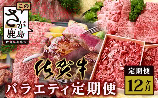 y12zꋍ oGeB  y[X  ؗ TCRXe[L ē [Xgr[tz V-48ꌧs300000