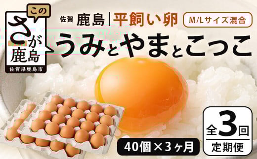 【定期便 3回】平飼い卵「うみとやまとこっこ」上田養鶏場 たまご40個 × 3ヶ月【合計120個】佐賀県鹿島産 卵 タマゴ E-128佐賀県鹿島市40000卵・乳製品卵(鶏、烏骨鶏等)