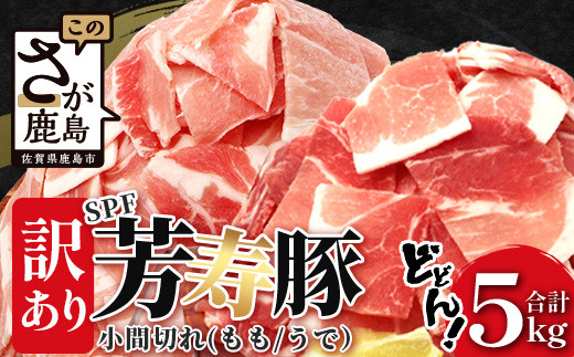 【4月配送】訳あり【配送月が選べる】SPF芳寿豚 小間切れ大容量満足セット1kg×5袋【合計5kg】【業務用サイズでボリューム重視の方におすすめ】【料理に便利】豚肉 こま切れ 切落し 切り落
