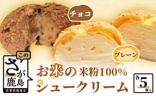 米粉のクッキーシューと米粉のチョコクッキーシュー10個詰め合わせ B-480 米粉 チョコレート シュークリーム 贈り物 贈答 プレゼント スイーツ チョコ お菓子 デザート バレンタインデー ホ