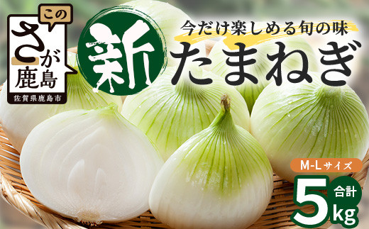 甘〜い!新鮮!新たまねぎ 約5kg (MLサイズ)★大自然育ち【2025年4月より発送】生産者直送!タマネギ 玉葱 新タマ 新玉ねぎ サラダ 惣菜 お料理 ストック 箱買 美味しい 甘い 常備野菜 佐賀