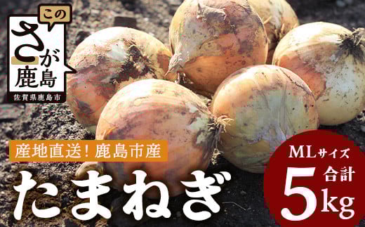 【先行予約】鹿島市産 玉ねぎ 5kg(MLサイズ)農家直送 5月以降発送予定 A-179佐賀県鹿島市7000野菜・きのこ玉ねぎ・ねぎ