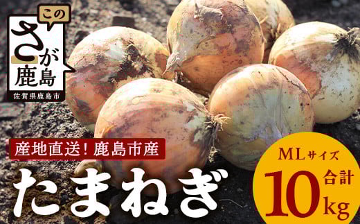【先行予約】鹿島市産 玉ねぎ 10kg(MLサイズ)農家直送 5月以降発送予定 B-736佐賀県鹿島市10000野菜・きのこ玉ねぎ・ねぎ