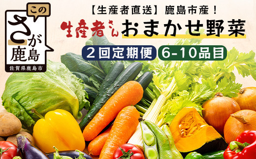 【生産者直送】鹿島市産 生産者おまかせ野菜2回定期便(夏5月〜7月、秋9〜11月) B-739佐賀県鹿島市13000野菜・きのこその他 野菜