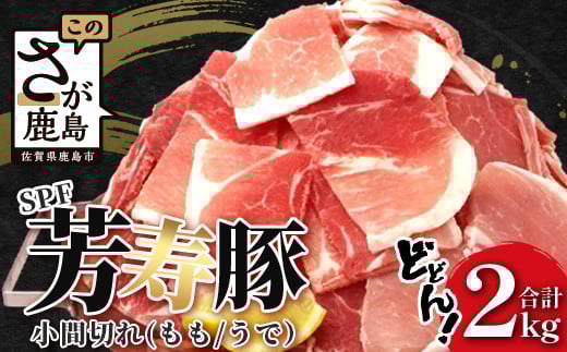 y2zz󂠂yzIׂzF Ԑ؂ 1kg×2 v2kg  Ef B-745 א؂ ܐ؂ ؓ XCX SPF v~A|[N uh؍ꌧs12000ؓ