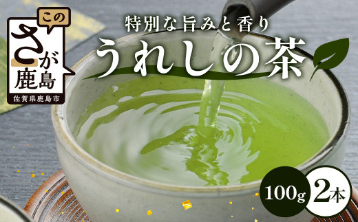 うれしの茶 2本入 詰め合わせ B-750佐賀県鹿島市10000お茶・飲料お茶