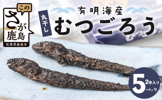 佐賀県鹿島市産 有明海 丸干しむつごろう 【2本入り×5袋セット】B-762佐賀県鹿島市12000魚介・海産物その他 魚介・海産物