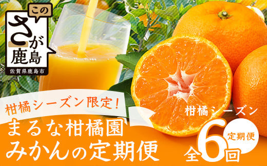 柑橘シーズン限定 みかん定期便 6回 まるな柑橘園 みかんの毎月 定期便 柑橘シーズン 6ヶ月 定期 みかん 10kg 5kg みかんジュース 果汁100% 2000ml 南津海 サイズS〜2L ふるさと納税 佐賀県 鹿島市