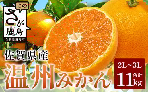 B-802 佐賀県産 温州みかん(2L〜3L混載)大玉みかん サイズ指定不可【11月下旬〜1月上旬頃発送予定】|果物 フルーツ 温州みかん 大玉 柑橘 国産 九州産 人気 甘い 佐賀産 鹿島産佐賀県鹿島
