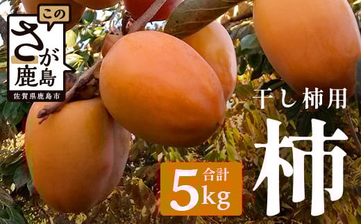 柿【干し柿用】約5kg(30個前後)渋柿 B-793佐賀県鹿島市10000果物・フルーツその他 果物・フルーツ