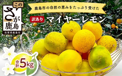 【訳あり】【産地直送】【農家直送】佐賀県鹿島市産 マイヤーレモン 5kg サイズ混合 酸味 美味しい お酒 生絞り 料理 お菓子 家庭用 【9月中旬頃から配送】 A-191佐賀県鹿島市7000果物・フル