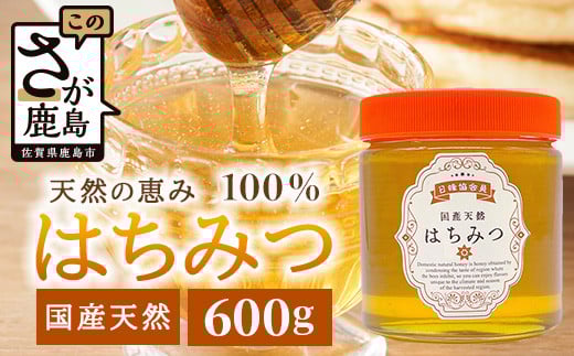 鹿島市産 天然の恵み 100% はちみつ 600g 化粧箱入 B-806 ハチミツ 蜂蜜 ハニー 天然はちみつ 天然蜂蜜 国産佐賀県鹿島市13000鍋セット・総菜・加工食品ジャム・はちみつ