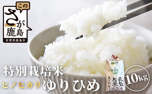 yYҒzKƏΊ͂ āiЂ߁j10kg  D-219ꌧs20000āEp